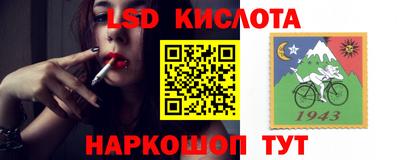 стаф Будённовск