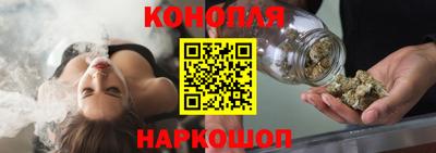 стаф Будённовск