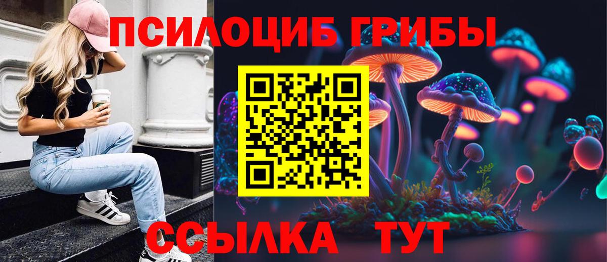 Краснознаменск  Галлюциногенные грибы Cubensis  Вход с VPN 